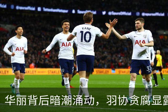 华丽背后暗潮涌动，羽协贪腐显露真相