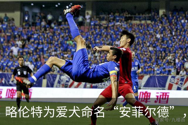略伦特为爱犬命名“安菲尔德”，杰拉德机智反应称会叫“古迪逊